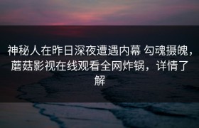 神秘人在昨日深夜遭遇内幕 勾魂摄魄，蘑菇影视在线观看全网炸锅，详情了解