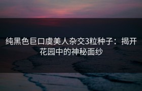 纯黑色巨口虞美人杂交3粒种子：揭开花园中的神秘面纱