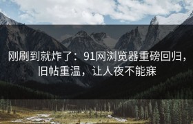 刚刷到就炸了：91网浏览器重磅回归，旧帖重温，让人夜不能寐