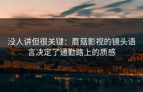 没人讲但很关键：蘑菇影视的镜头语言决定了通勤路上的质感