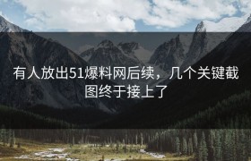有人放出51爆料网后续，几个关键截图终于接上了
