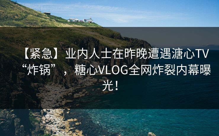【紧急】业内人士在昨晚遭遇溏心TV“炸锅”，糖心VLOG全网炸裂内幕曝光！
