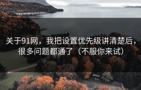 关于91网，我把设置优先级讲清楚后，很多问题都通了（不服你来试）