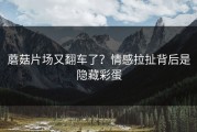 蘑菇片场又翻车了？情感拉扯背后是隐藏彩蛋